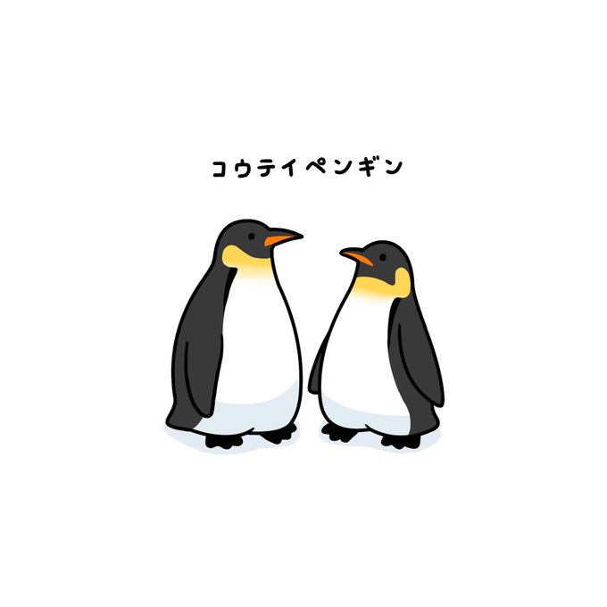 「鳥 ペンギン」のTwitter画像/イラスト(新着)