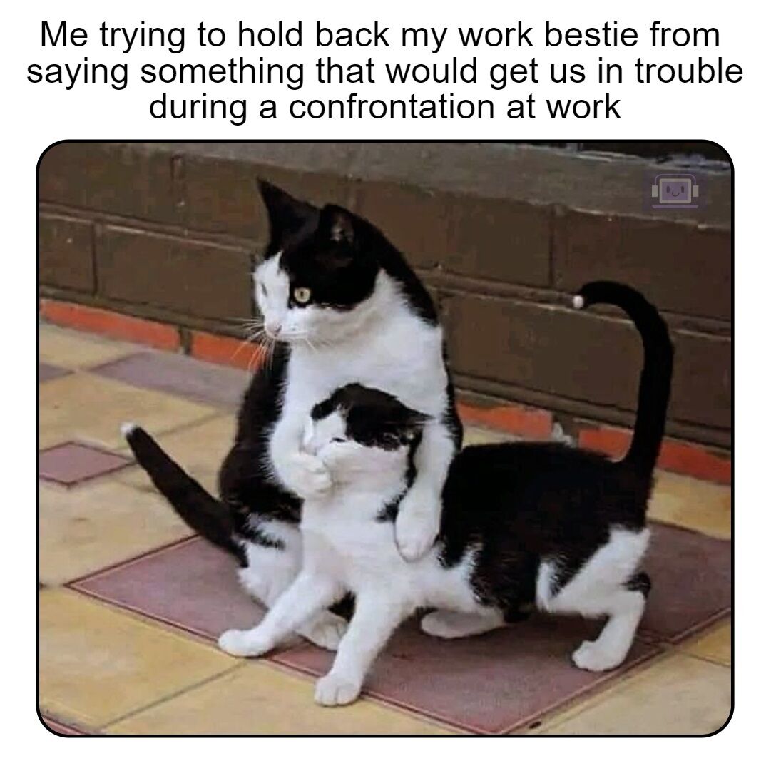 Funny business cat is slacking off - Imgflip, image size:1081x1067