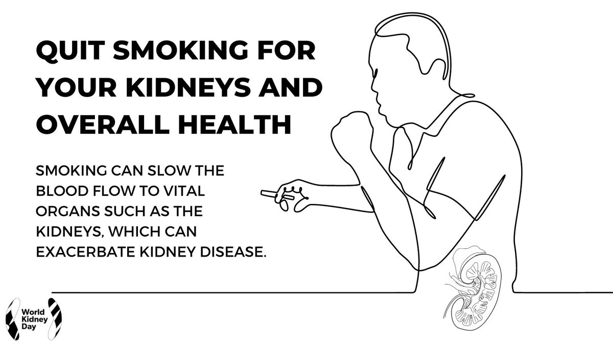 #DidYouKnow that #smoking slows the flow of #blood to the #kidneys? When less blood reaches the kidneys, it can decrease their ability to function normally. Take care of your kidneys and quit smoking! Learn more💡worldkidneyday.org/about-kidney-h… #WorldKidneyDay