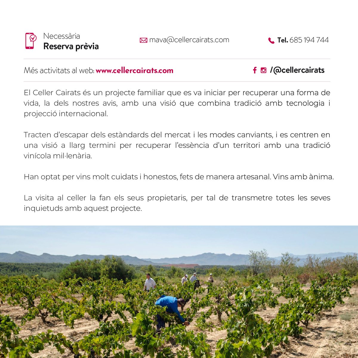 🍇ENOTURISME🍇 Avui us proposem visitar el Celler Cairats, un projecte familiar situat a Darmós, on la família va trobar allò que buscava des de feia anys: vinyes velles de varietats autòctones i un preciós celler amb història #enoturisme Més info 👇 domontsant.com/proposta-denot…