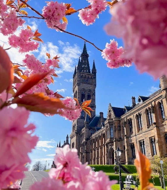 Spring is here when cherry blossoms are in bloom 🌸

Thanks @la_sonadoraa for this beautiful image of the University of Glasgow.

#VisitGlasgow
