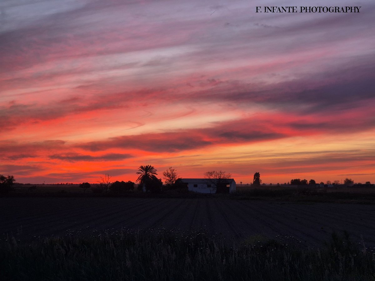 #Atardeceresprimaverales #LosPalaciosyVillafranca #Sevilla #Andalucía #BellaAndalucía