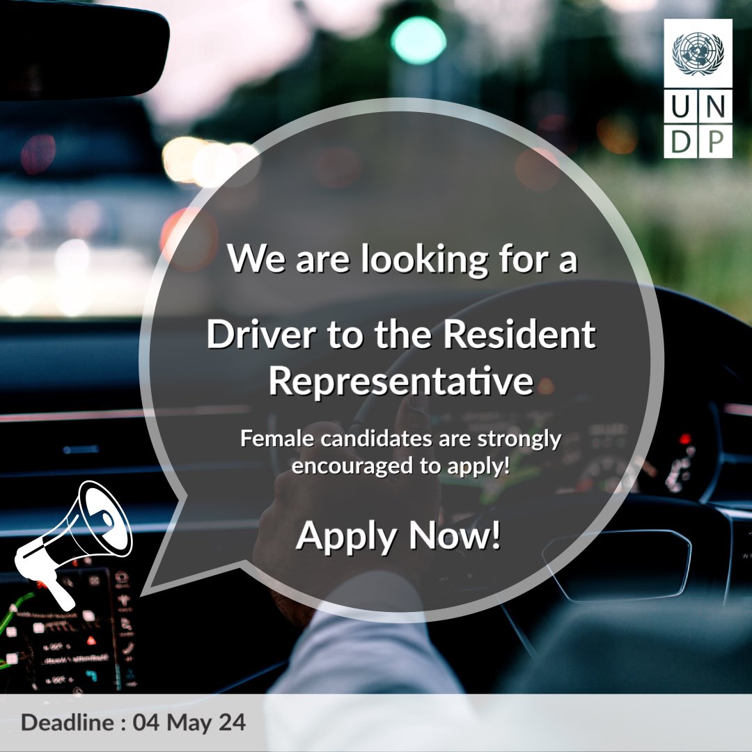 🔍 We are looking for a Driver to the Resident Representative. Apply here: 🖇bit.ly/4dg5GQu #UNDPKosovo #JobOpportunity