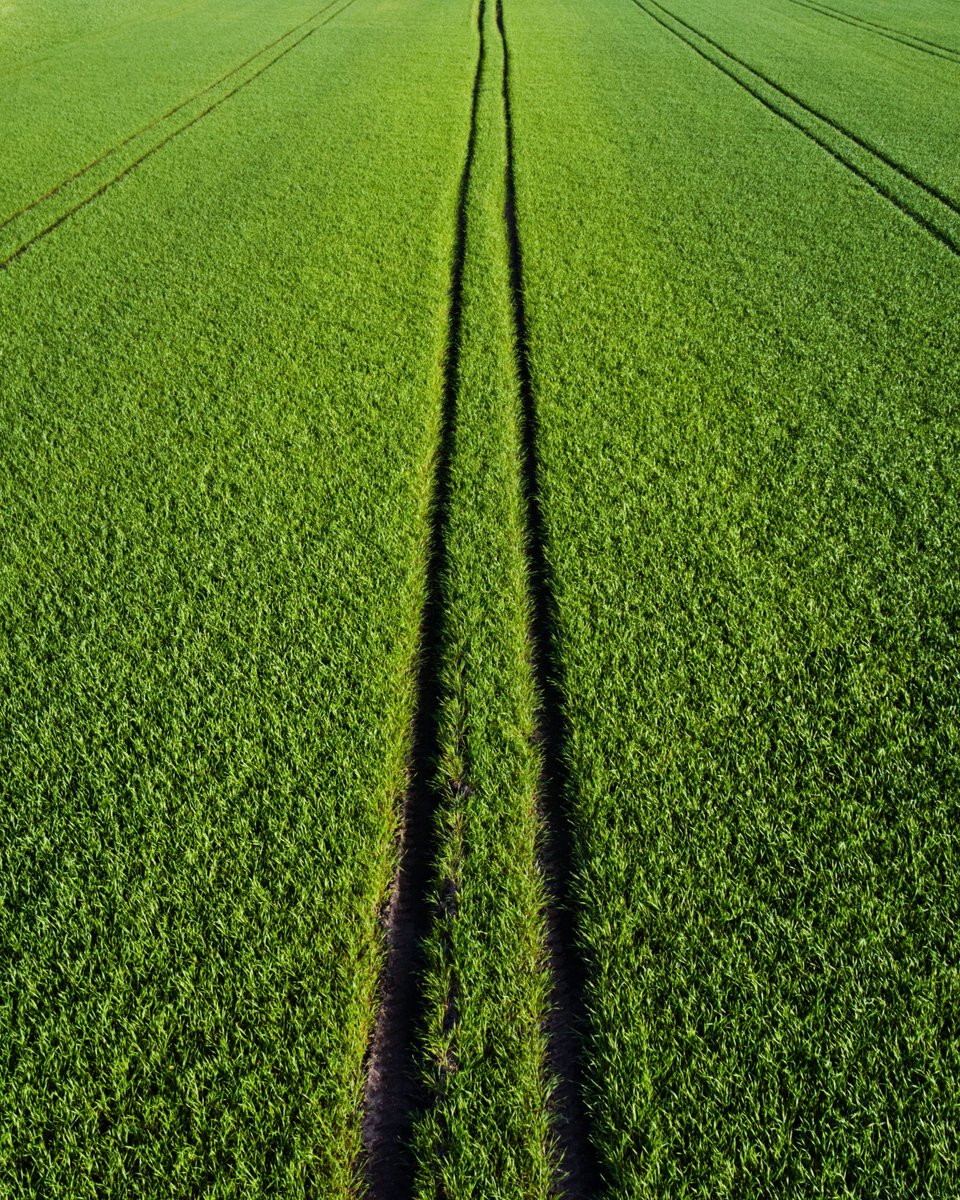 Some simply green

#droneoftheday #drone #above #aerial #aerialphotography #Farmers #FARM #photo
