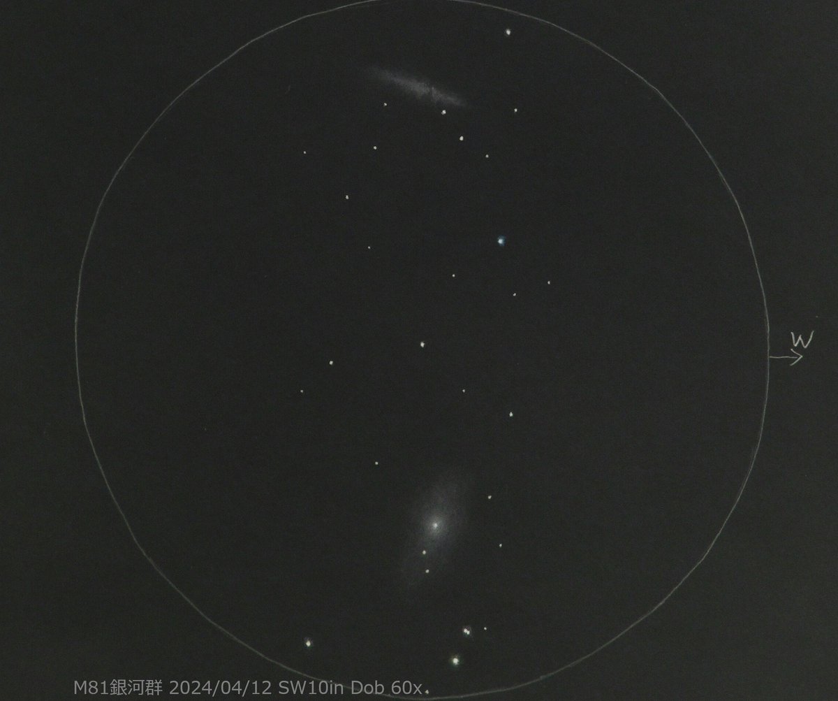 #今日のスケッチ
最近の星観望から(3/3)

M81とM82
春を代表するDeepSky天体です。淡い部分は分からず、どちらも本調子の姿ではありませんが、口径が増した分の見え方の違いは感じました。
距離は1200万光年で、銀河としてはかなり近所にあります。
2024/04/12　岐阜南部
#astrosketch