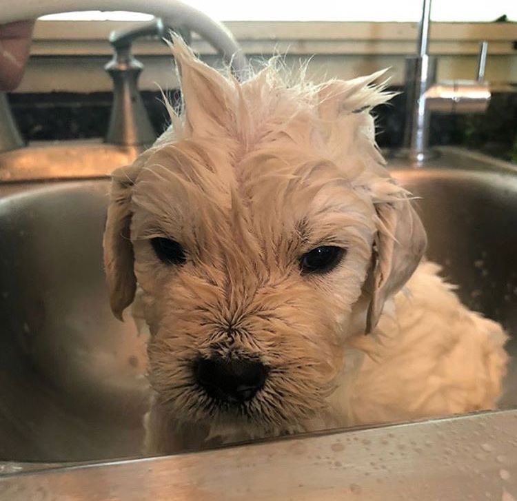 ม่ายจิงสะนอย