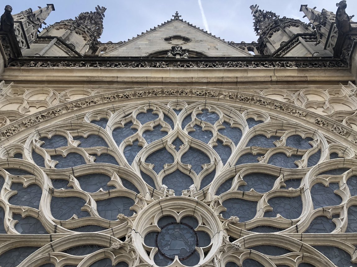 Dr Emily Guerry tweet media