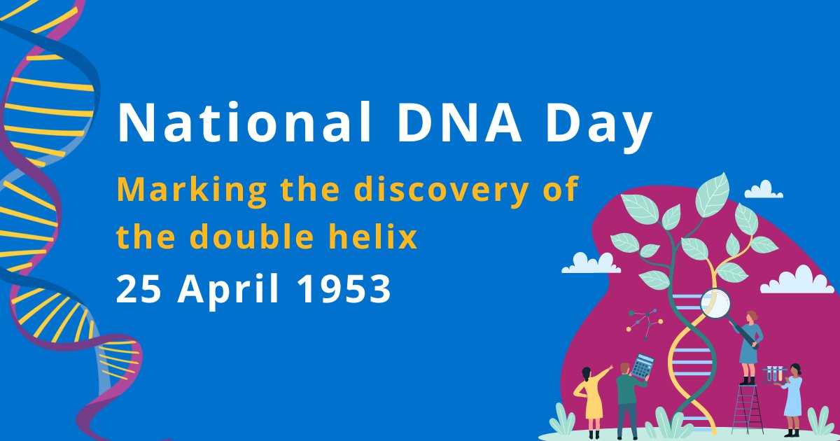 Today is #DNADay marking the discovery of the double helix in 1953!

It's also an opportunity to marvel at how far we have come since the discovery over seventy years ago #GenomicMedicine #Innovation

Brush up on your genomics knowledge here: genomicseducation.hee.nhs.uk