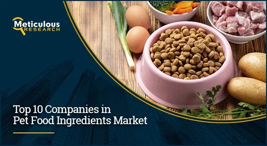 Unveiling the Top 10 Companies Dominating the Pet Food Ingredients Market
The pet food ingredients market thrives due to a burgeoning pet population, increased spending on pet nutrition, premium product demand, and health prioritization.
more info:meticulousblog.org/top-10-compani…