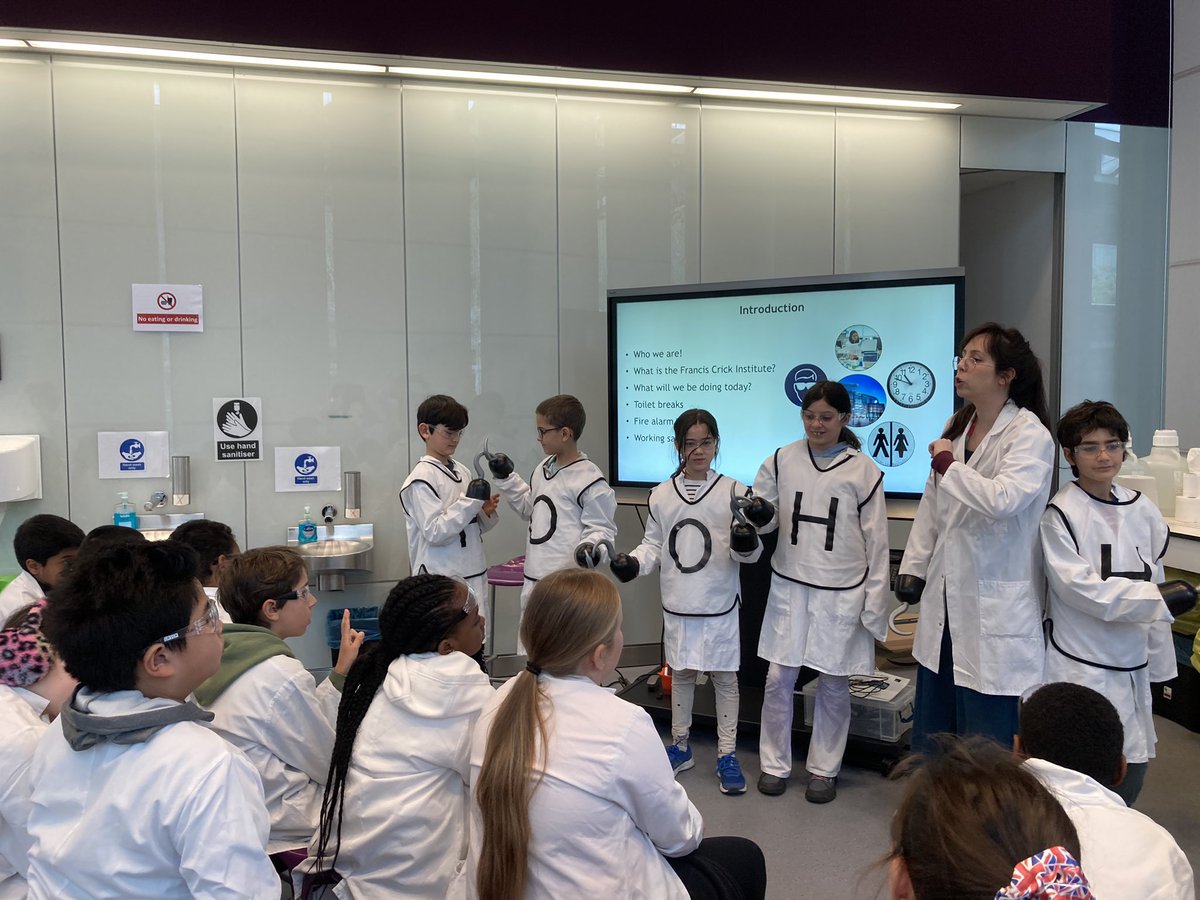 Year 5 are having an amazing time @TheCrick our budding chemists have been working hard to solve the mystery of the missing cornflour. Testing with different experiments. Next we will be physicists!