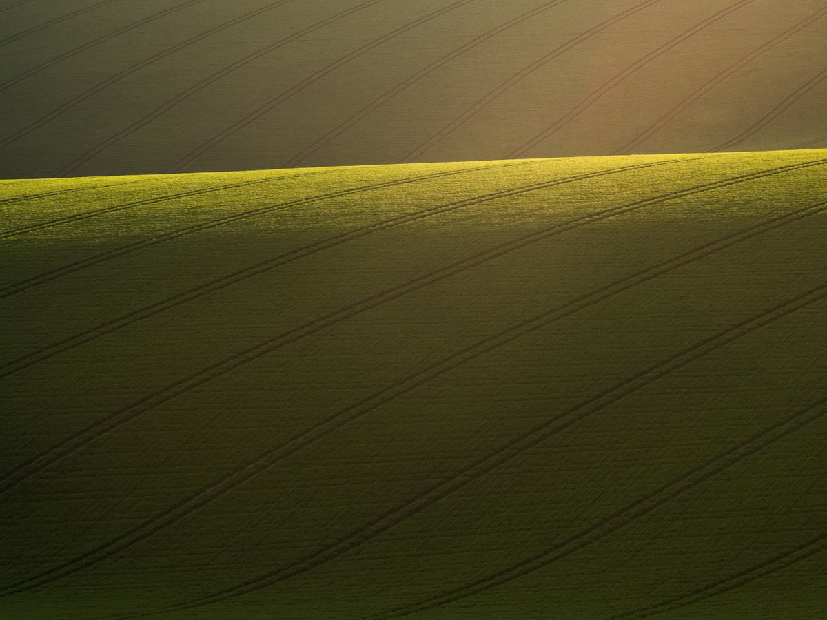 Waves of Golden Fields by Adam Makkai 🌄 'Tramlines on the rolling hills of the South Downs National Park captured at sunset.' 📷 IG/makkai_adam 📍 Devil's Dyke, South Downs National Park @TGOMagazine @tecnomobile #TGBPW