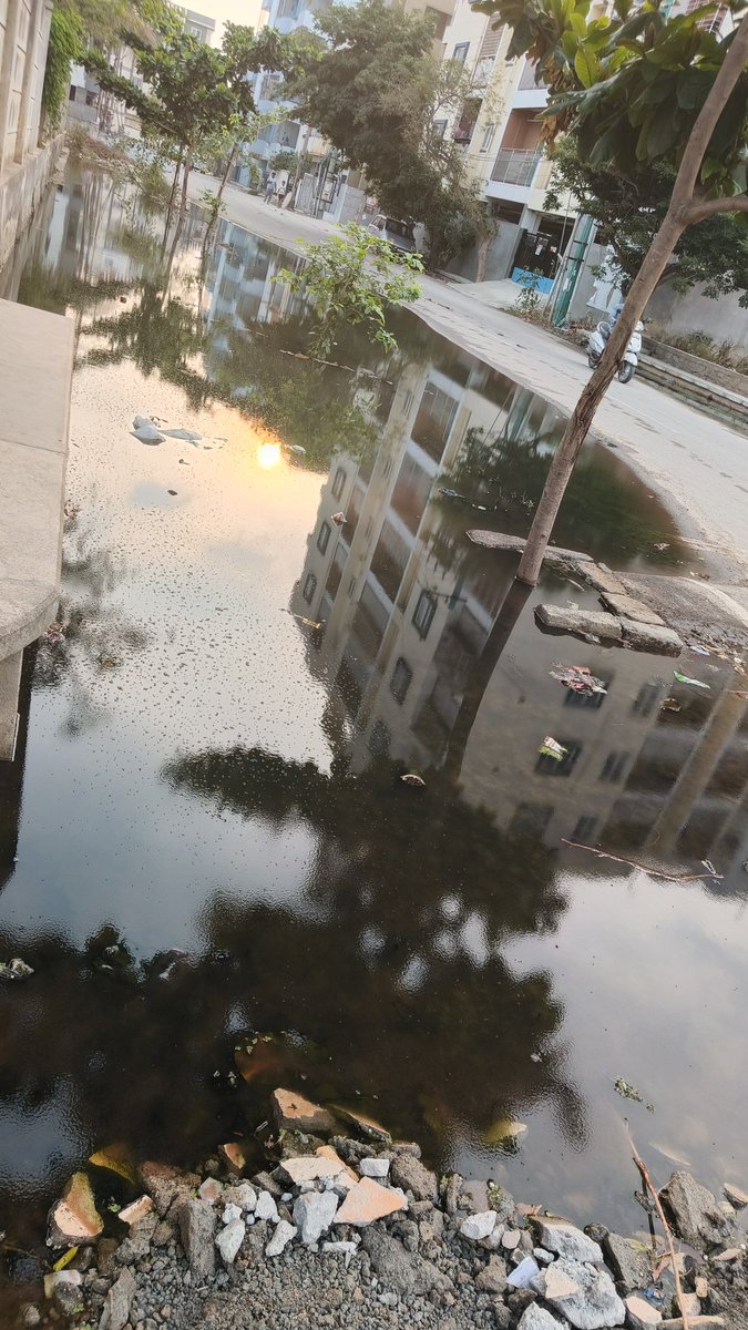 iamsubbarao's tweet photo. @BBMPCOMM @Ashokmruthyu @chairmanbwssb @MALimbavali 
Sir,due to Rajakaluve blocked,water flowing on roads at Greenville layout junnasandra ward 150.please fix this issue ASAP. https://t.co/a8HtkSWrBa
