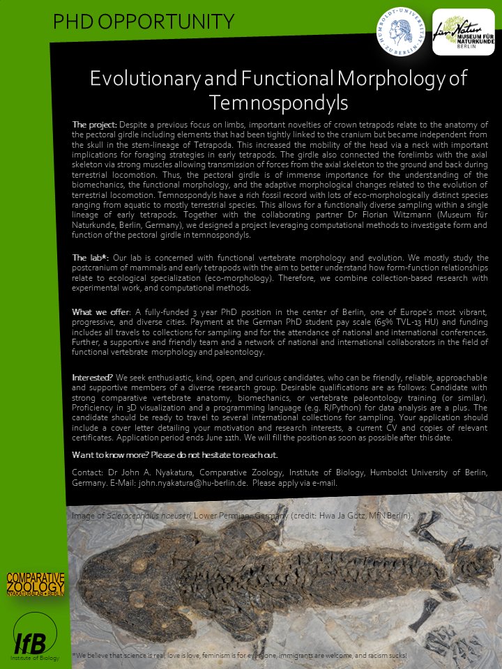 Fully-funded PhD opportunity! Do you find fossil amphibians fascinating? Please read on! Please, RT and share with potentially interested vertebrate morphologists and paleontologists. Thanks! @HumboldtUni together with Dr Florian Witzmann of @mfnberlin