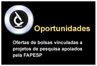 Nosso boletim de hoje (25/4) divulga 5 oportunidades com #bolsasFAPESP e inscrições encerrando na terça (30/4). Vagas na @unicampoficial de Piracicaba; na @Unesp_Oficial de Jaboticabal; no @iqscusp, em São Carlos; na @FMUSPoficial e @rcgipage, em São Paulo agencia.fapesp.br/boletim/2024-0…