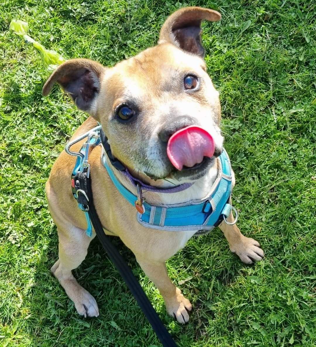 SeniorStaffy tweet picture