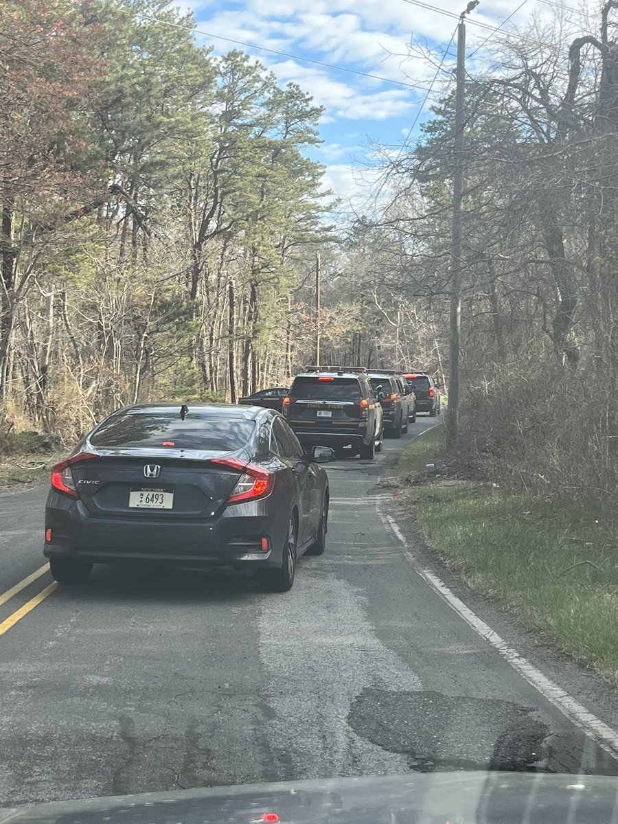 A dozen state police officers with search dogs came here to Connecticut Avenue in Manorville and turned at the high tension wires to go deep into the wood to search. The story @wcbs880 and @1010WINS.