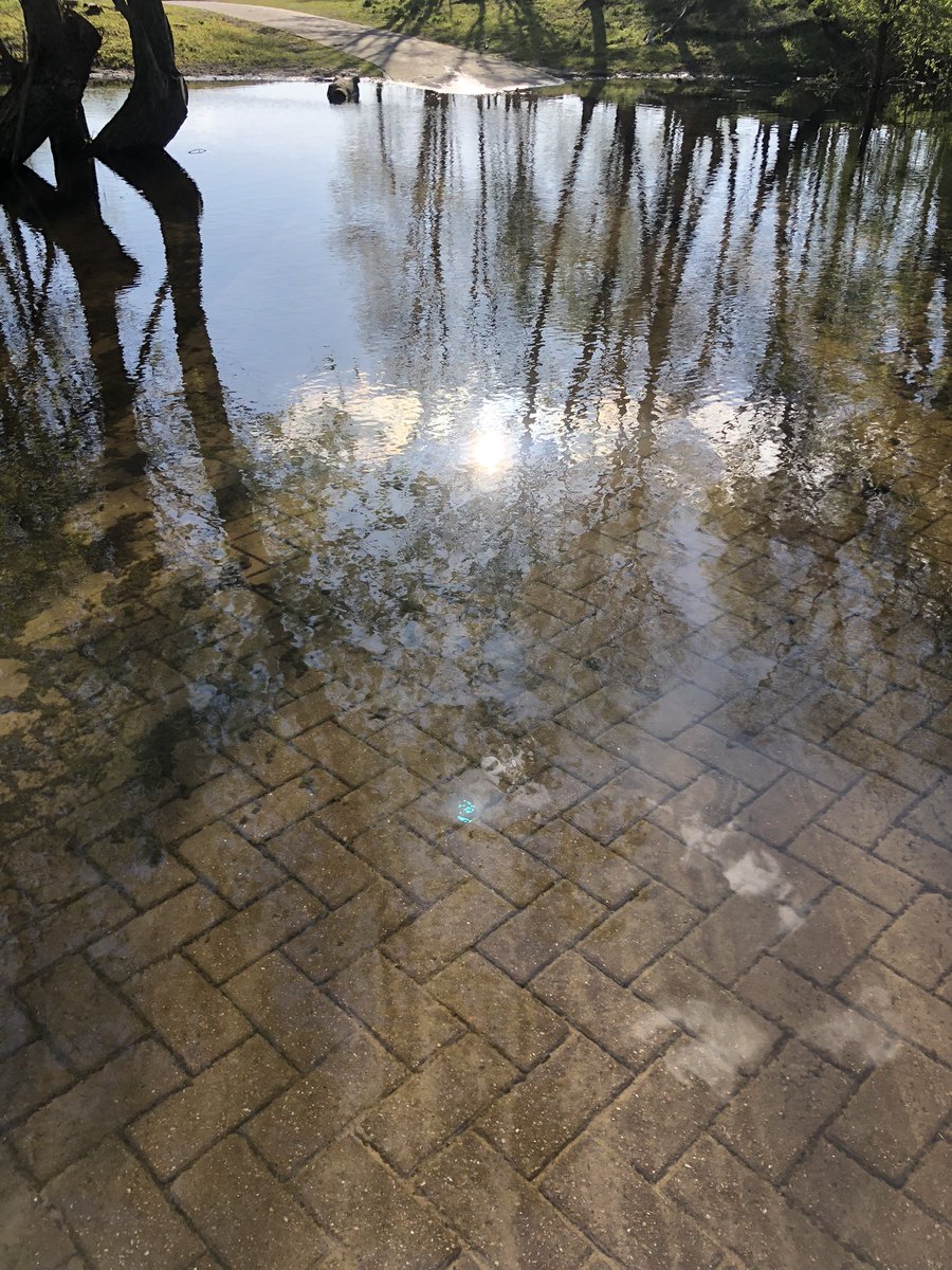 HartBloemendaal's tweet photo. Ja hoor, een #watertekort. Rampspoed. Dus #water op #rantsoen. Niet meer douchen, geen kinderbadje in de zomer en waag het niet je tuin te sproeien. @PWN @Natuurmonument @deltares @avecodebondt @ProvincieNH of is dit een manier om ons bang te maken en schuldgevoel aan te praten? https://t.co/JzsflkoKhJ