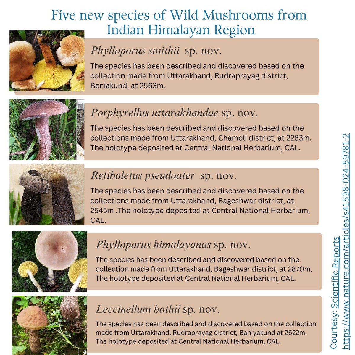 A team of scientists led by Dr Kanad Das, Scientist-F @bsi_moefcc #CNH #Howrah, and international collaborations discovered and described five new species of wild mushrooms from Uttarakhand recently. #IncredibleIndia