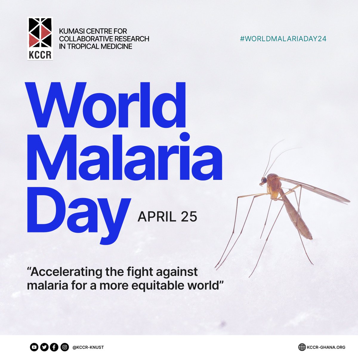 Its #WorldMalariaDay 2024! Together, let's raise awareness and take action to beat malaria for good. 💪🦟  #KCCR'
