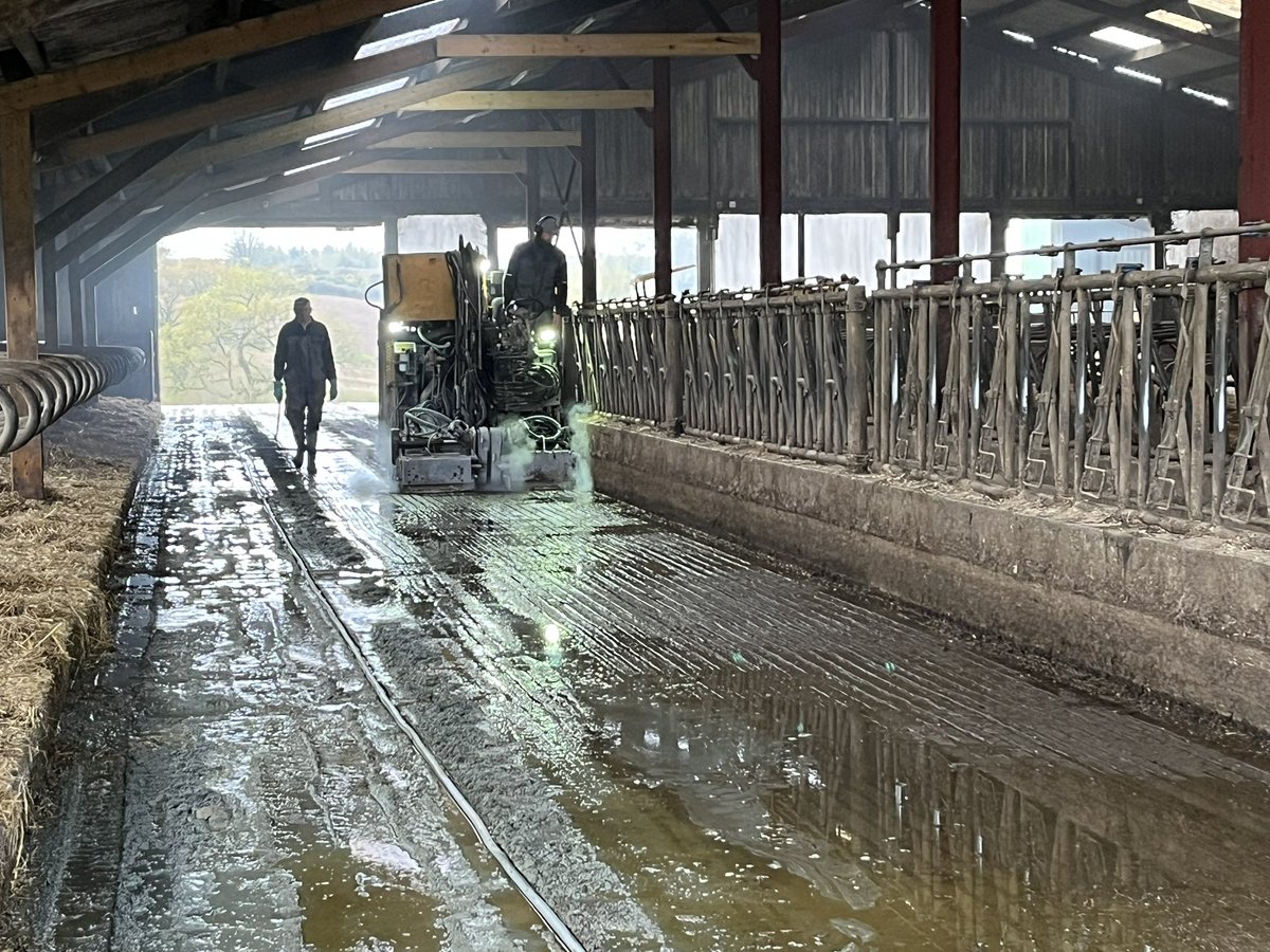 Aujourd’hui c’est opération scarification des bétons … on a eu le malheur de perdre deux vaches qui sont tombées et se sont écartelées en peu de temps. Espérons que les couloirs seront moins une patinoire 😣 #ceuxquifontlelait #FrAgTw