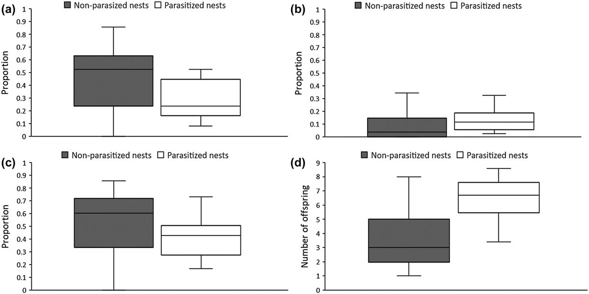 NEW PAPER: changes in environmental conditions affect the dynamics of alternative reproductive tactics in goldeneyes, with consequences to population level reproductive output. full article: vist.ly/33avj @NordicOikos @UniEastFinland #ornithology #birds