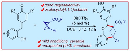 Happy😃to share our @ChemRxiv preprint on Lewis acid-catalyzed unusual (4+3) annulation of p-QMs with BCBs allowing the synthesis of oxabicyclo [4.1.1]octanes! 
Thank U @serbonline🙏 for funding! 
Done by @shiksha_deswal & @avishek_guin👍!
go.shr.lc/3xOBUBP 
@iiscbangalore