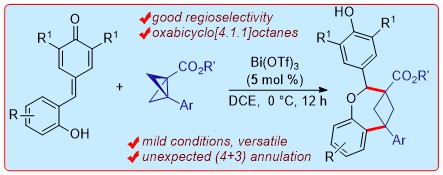 Happy😃to share our @ChemRxiv preprint on Lewis acid-catalyzed unusual (4+3) annulation of p-QMs with BCBs allowing the synthesis of oxabicyclo [4.1.1]octanes! Thank U @serbonline🙏 for funding! Done by @shiksha_deswal & @avishek_guin👍! go.shr.lc/3xOBUBP @iiscbangalore