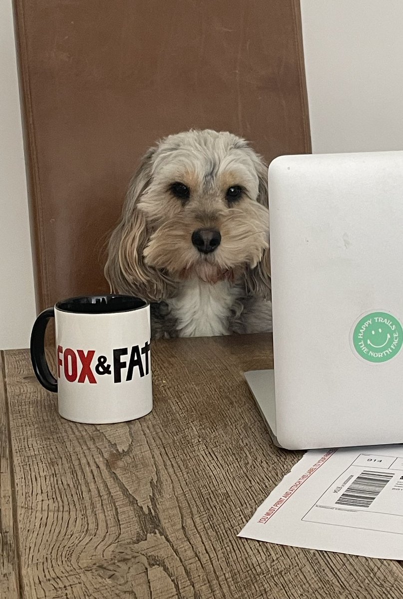 Third merch drop now live 🔥 Bert is processing orders ⬇️ reclaimparty.co.uk/rtmltdstore/p/… What #FoxandFather merch would you like to see? Hats? T-shirts? Pipes? @LozzaFox | @calvinrobinson #FoxandFather 🦊✝️