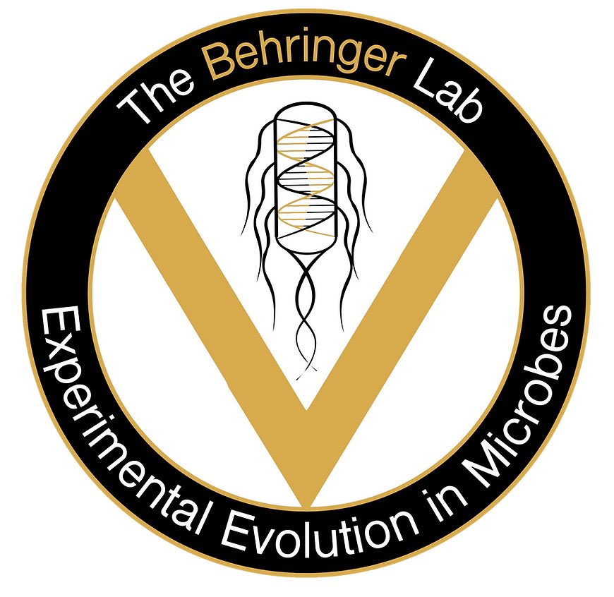 Megan Behringer tweet media