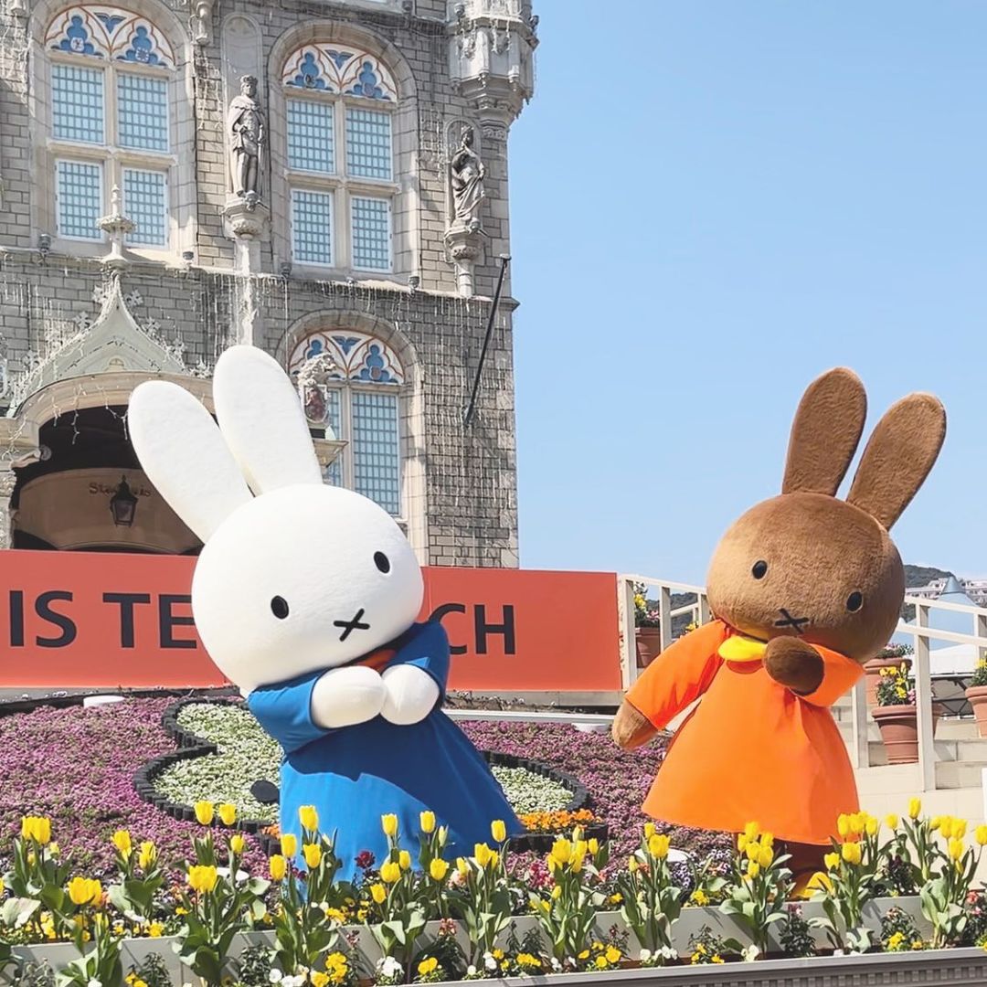 *does the Miffy dance*

📍Huis Ten Bosch, Japan

📸 Instagram user miffy__account