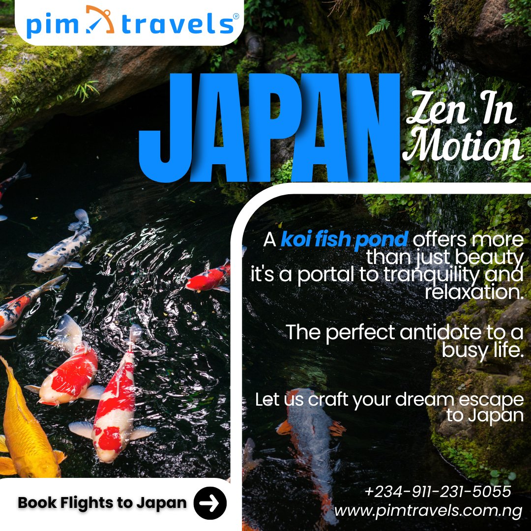 PIM Travels Tranquility! Your Ticket to Japan's Koi Ponds & Inner Peace.  #pimTravels

#TravelDeals #LagosToJapan #ExploreJapan #TravelExpert #AffordableFlights #traveltips #packinghacks #flystressfree #airfaredeals  #visaservices #flightbooking #travel #stressless #travelagency