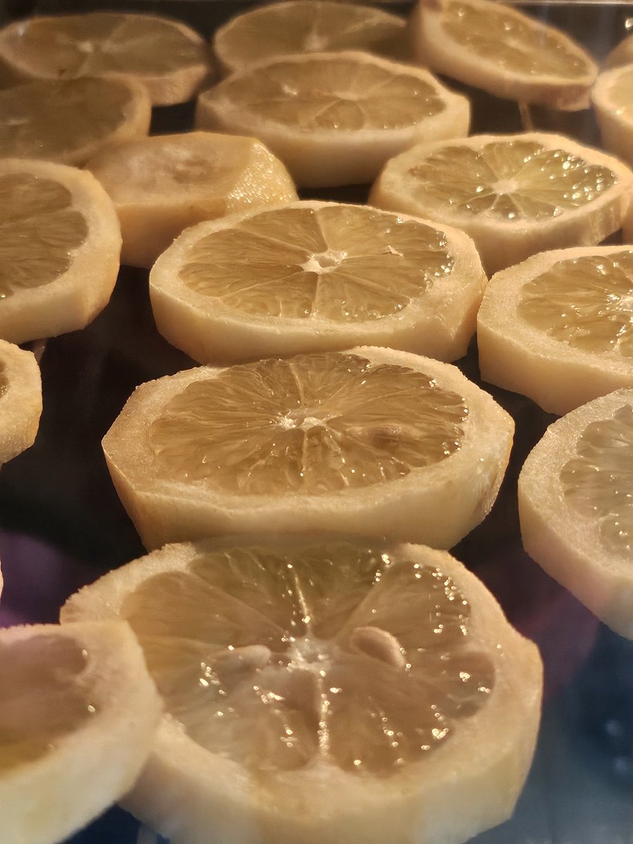 Bodrum için limon zamanı🍋 kalın kabuklu bahce limonlarinin soyulan kabukları, limoncello olmak için alkole yattı, kabukları soyulan limonlar ziyan olmasın diye kurutuluyor 🥰