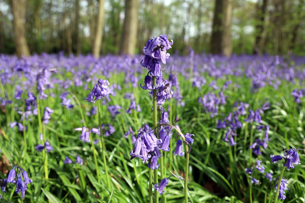 Estates East tweet media