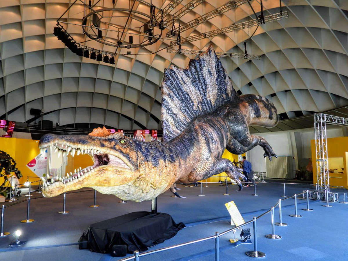 「オダイバ恐竜博覧会2024」に行ってきました🦖

大人も結構楽しめますよ😉
