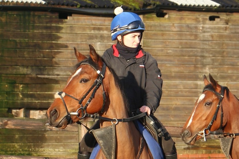 1️⃣ We have one runner today at @WolvesRaces. Havanarama (8:00) will be ridden by @oismurphy from stall 5 for Messrs Ford & Owen. @Coral @HM3Legal @nafuk #TeamMHS