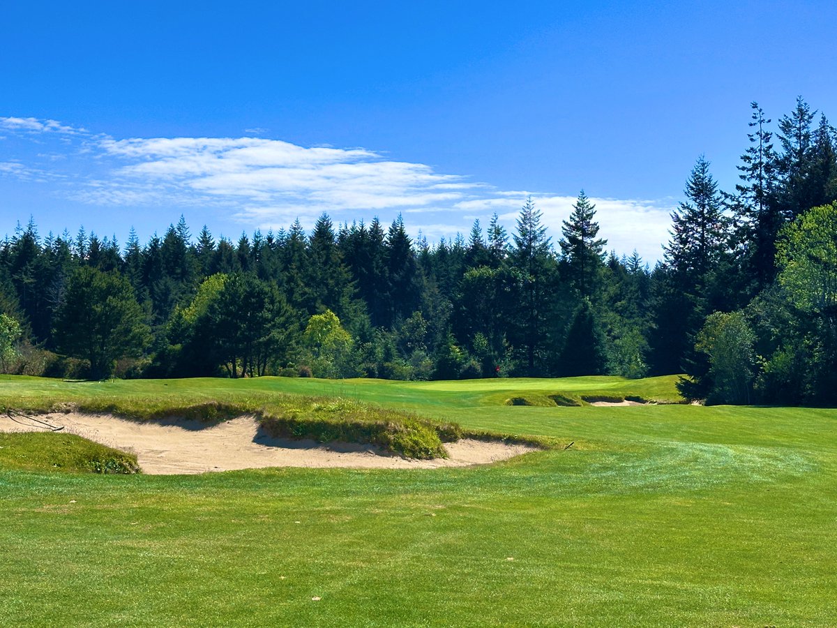 Top100Rick's tweet photo. Bandon Crossings
2007 - Dan Hixson

The perfect companion to Bandon Dunes resort lies just a few miles down the road. And can be had for under $100!

Dan Hixson has designed a truly fascinating heathland style course. He allowed the land to mold the course, rather than molding the land to fit. This means big natural features you rarely see on a modern course. 

The fairways have lots of movement in all dimensions. You won’t find boring tee shots here. Where you end up matters, you will find all kinds of varied lies and stances based on where your ball lands. 

The greens are fantastic. Ranging from small to huge, they have lots of movement and some have very bold contours. The bunkering is rugged and fits the property perfectly. Aesthetically the course does harken to the English heathlands. 

A very cool touch, the course has a walking 9 hole loop that avoids the lower half of the course, which would require some big walks. You can walk all 18, but those who want less of a workout can do the 9 hole walk. 

For $86 walking peak season, it’s not cheap, but it’s a bargain for the quality of the golf. 

I highly recommend adding this to your Bandon trip. It’s a fantastic course in its own right and deserves a visit. If your legs are beat after 5 rounds at Bandon, grab a cart and zip around!