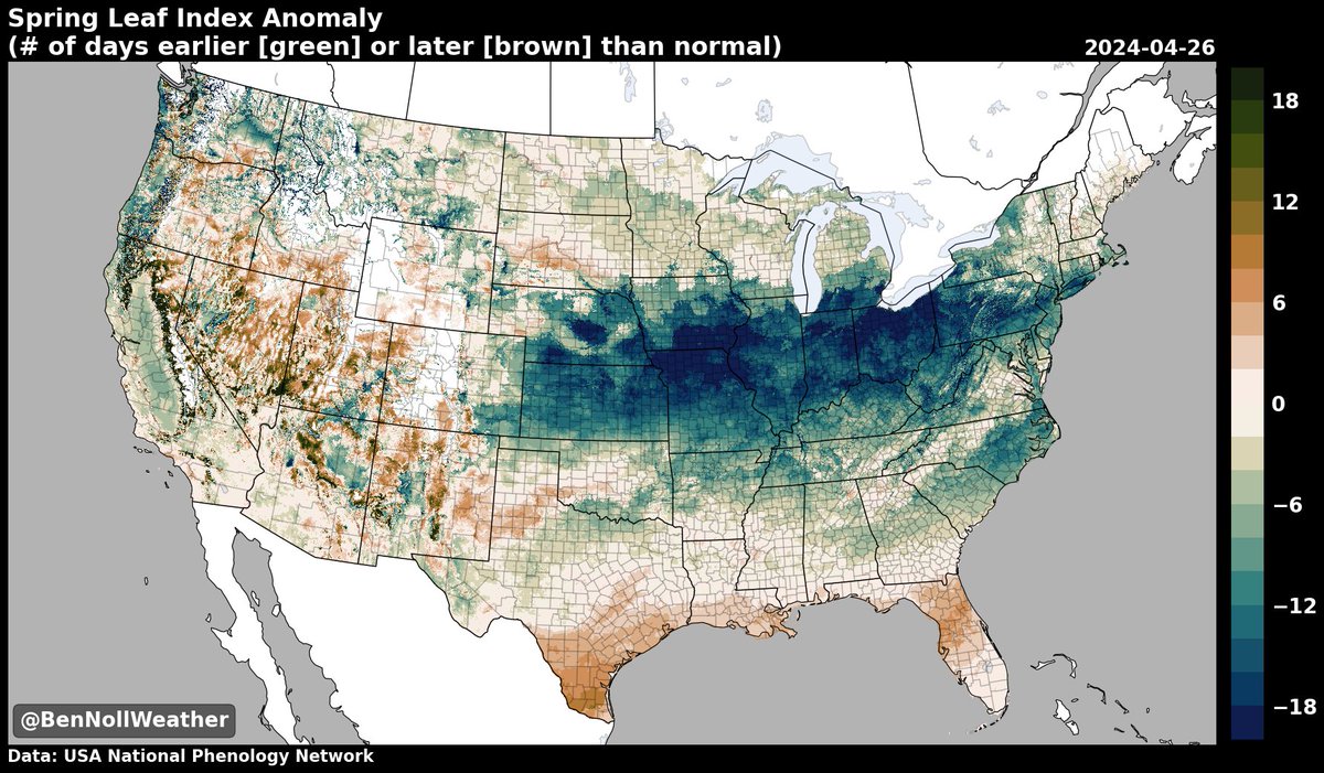 Spring 'leaf out' is a solid 1-3+ weeks ahead of schedule (🟢) across the central states & some eastern states 🌳 A combination of wet & relatively warm conditions has done the trick. Sneezy season is definitely upon us: pollen counts are going up! 📈