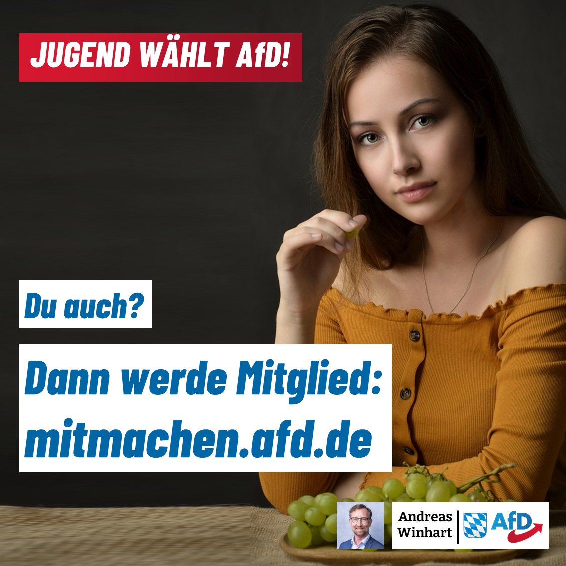 +++Jugend wählt #AfD!+++ Laut aktueller Umfrage wählt die Mehrheit der unter 30-Jährigen in Deutschland die AfD, Tendenz stark steigend. 💙🇩🇪🚀 Werde auch Teil des Teams und stelle noch heute den Mitgliedsantrag: ⏬⏬ mitmachen.afd.de #Weidel #Chrupalla