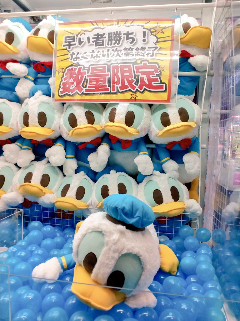 ディズニー ドナルドダック デイジービッグぬいぐるみ2体セット