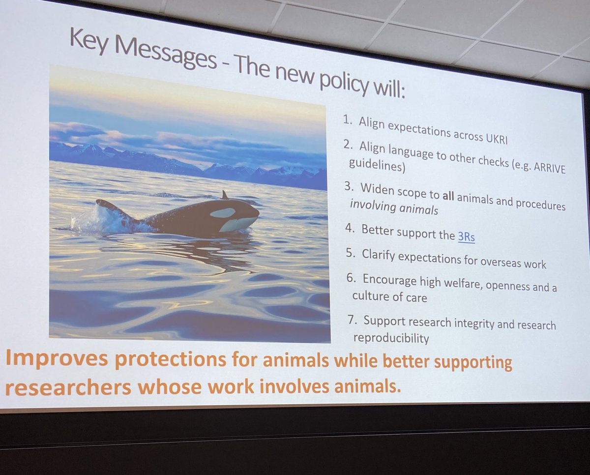 Keep your eyes open 👀 There’s a new UKRI policy on research and innovation involving animals coming out in the next few weeks! #ASABSpring2024