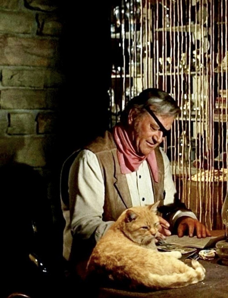'General Sterling Price' is the only cat I've ever really liked. 
#JohnWayne #History #thursdayvibes