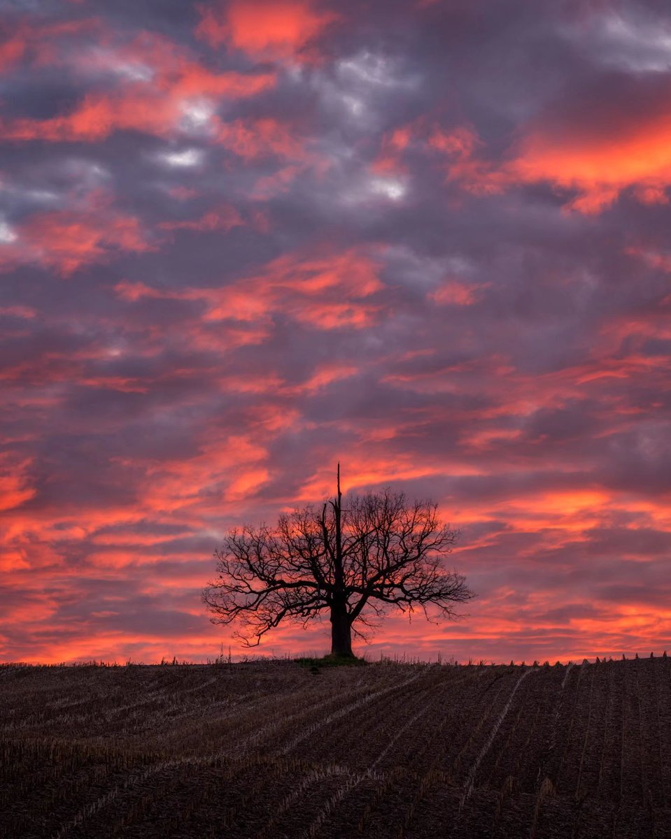 3/ VOTE 👉 thisisroc.com/roctopshots/vo… #ROCTopShots