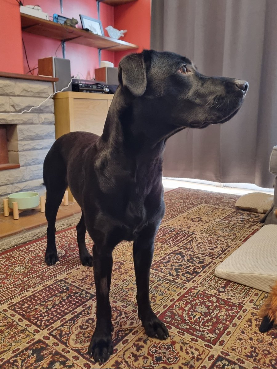 Amy W Schwartz tweet media