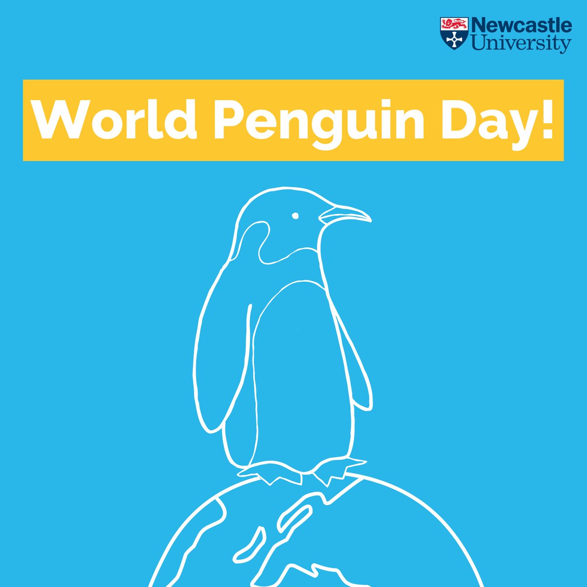Today is World Penguin Day!