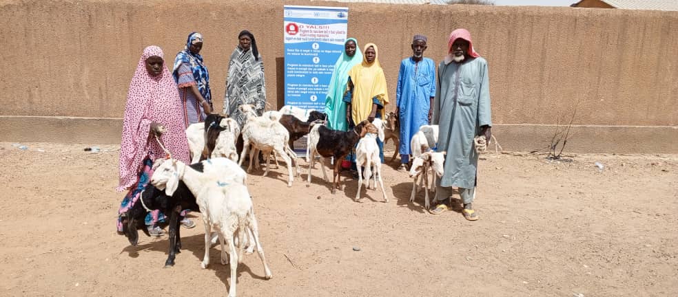 FAOBurkinaFaso's tweet image. @FAOBurkinaFaso, grâce au projet #SD3C financé par le @IFAD, met à la disposition de 1⃣7⃣0⃣ ménages vulnérables de la région du #Sahel des kits d&apos;embouche ovine pour améliorer leurs revenus et renforcer leur résilience.
@onubf