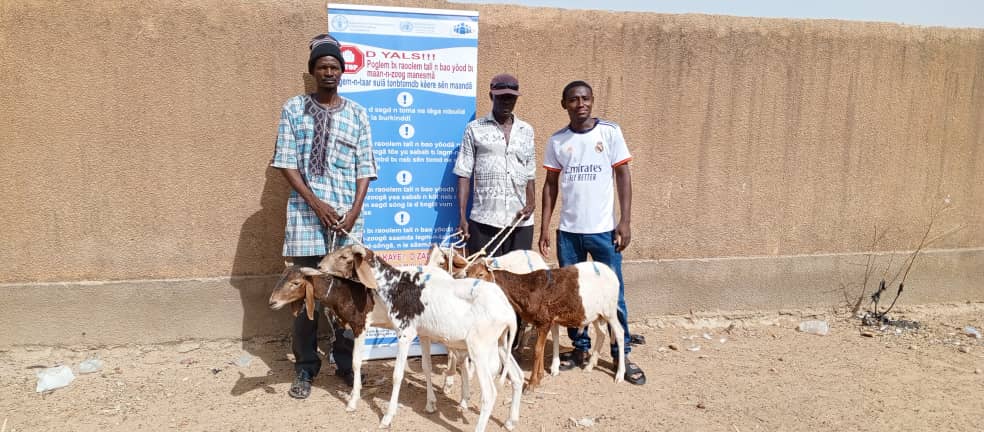 FAOBurkinaFaso's tweet image. @FAOBurkinaFaso, grâce au projet #SD3C financé par le @IFAD, met à la disposition de 1⃣7⃣0⃣ ménages vulnérables de la région du #Sahel des kits d&apos;embouche ovine pour améliorer leurs revenus et renforcer leur résilience.
@onubf