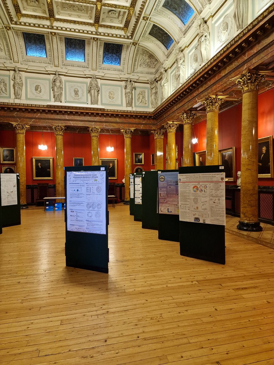 Fran Supek (@fransupek) on Twitter photo Great to have participated in the 🧬Mutations in Time & Space meeting #MITS24, showing the latest study by <a href="/GenomeDataLab/">Genome Data Science lab</a> dr Marina <a href="/msalvadoresf/">Marina Salvadores Ferreiro</a>
Fantastic to also see lab alumni giving talks 👋 <a href="/davidmasp/">David Mas-Ponte</a>
Ps. Very impressive poster hall! Great to have participated in the 🧬Mutations in Time & Space meeting #MITS24, showing the latest study by <a href="/GenomeDataLab/">Genome Data Science lab</a> dr Marina <a href="/msalvadoresf/">Marina Salvadores Ferreiro</a>
Fantastic to also see lab alumni giving talks 👋 <a href="/davidmasp/">David Mas-Ponte</a>
Ps. Very impressive poster hall!