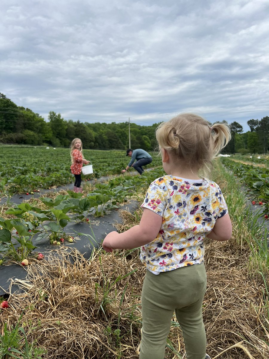 A quick story about small business: We took our girls strawberry picking after work yesterday on a small, family farm. The family’s house sat 30 yards from the fields. Kids toys laid toppled over in the gravel driveway. A fire pit and chairs were parked near the front porch. A…