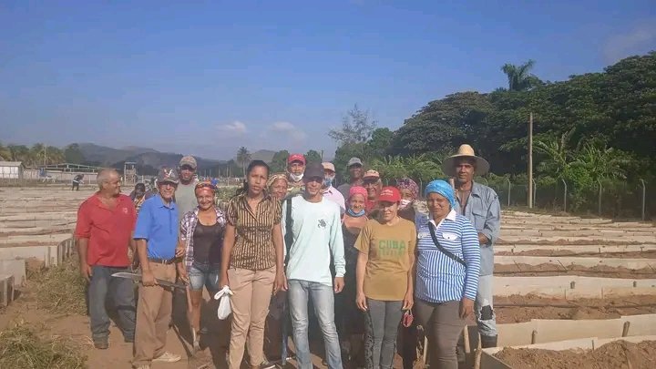 ampp2Frente's tweet photo. Colectivo laboral del CUM #SegundoFrente #SantiagoDeCuba contribuye al #ProgramaAlimentario en el Organopónico, en saludo al #PrimeroDeMayo https://t.co/1oaFX9pjrv