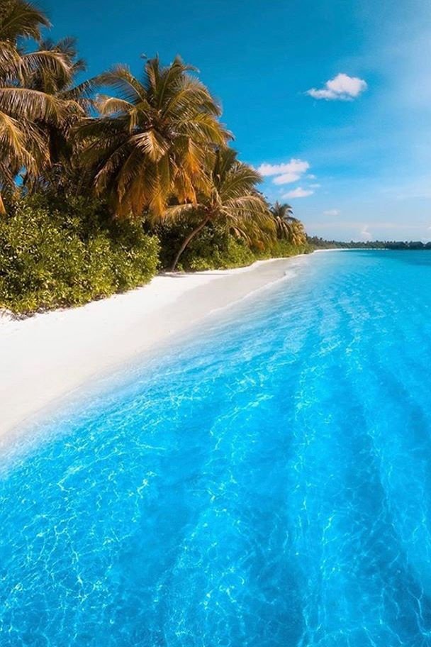 Hannah (@hannah53693191) on Twitter photo 